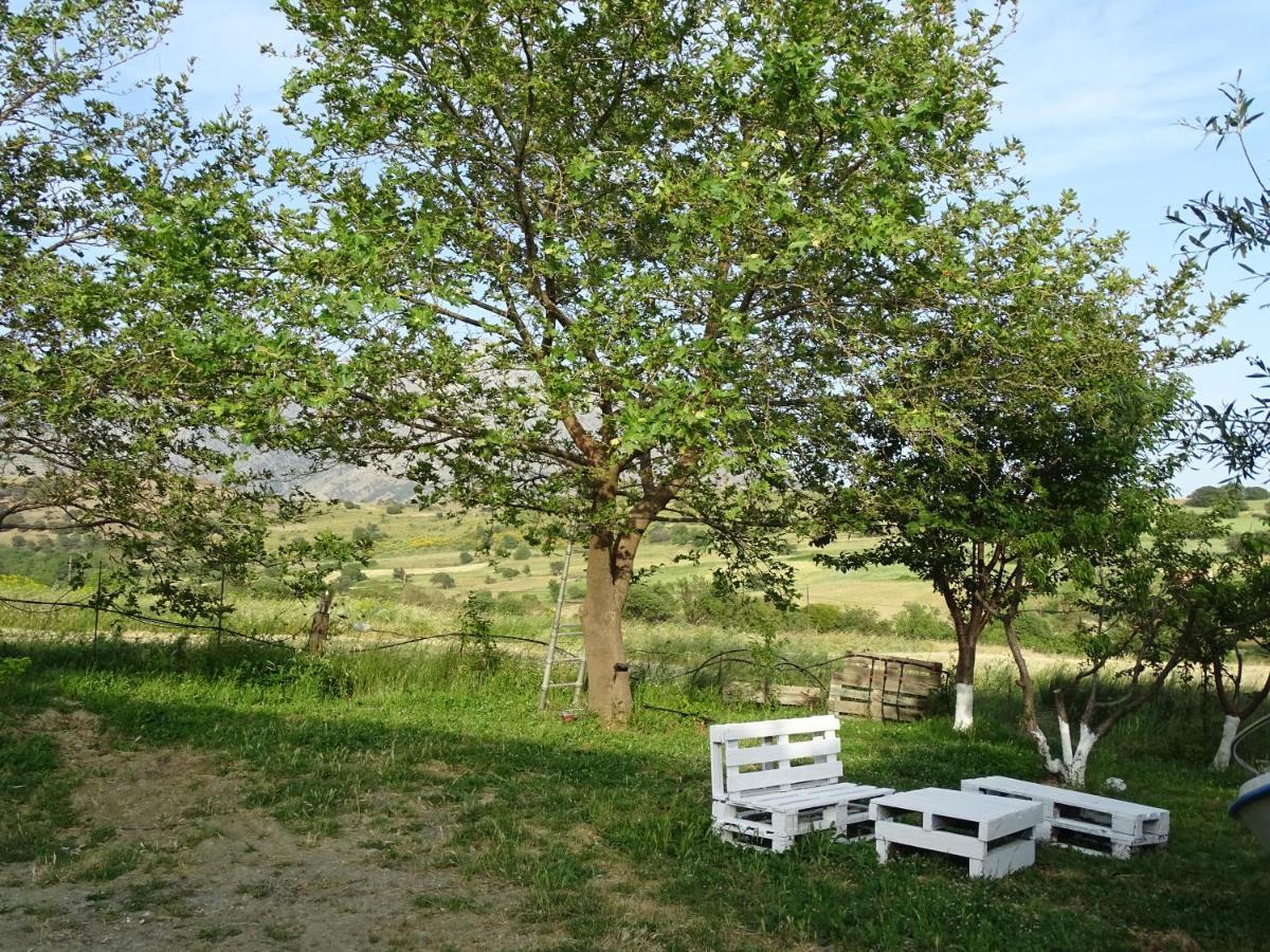 Melenios Houses Szamothráki Kültér fotó