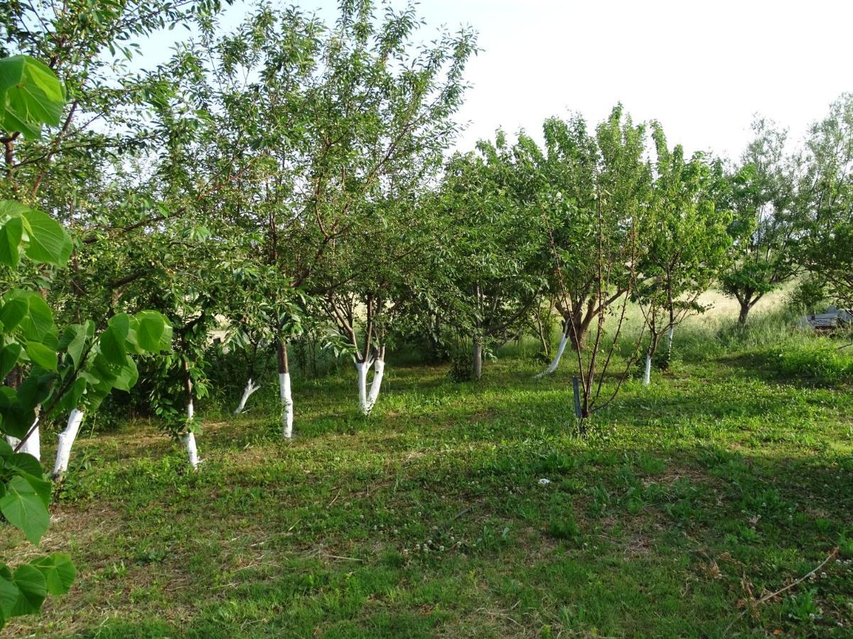 Melenios Houses Szamothráki Kültér fotó